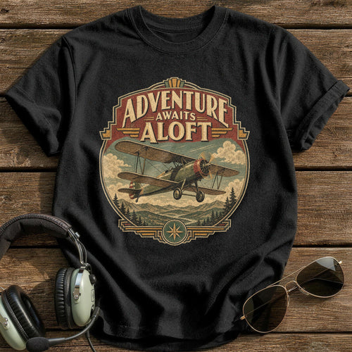 Biplane Beckons - Black